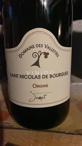 Valle del Loira Saint-Nicolas-De-Bourgueil Domaine S Vallettes Origine 2022