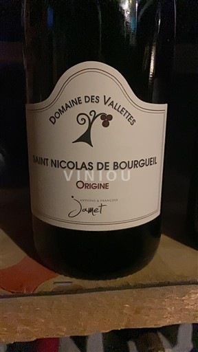 Valle del Loira Saint-Nicolas-De-Bourgueil Domaine S Vallettes Origine 2022
