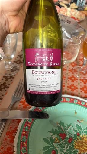 Burgundy Domaine Rurey Pinot Noir 2009