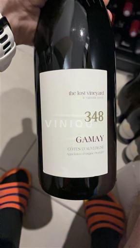 Vallée de la Loire Côtes-d'Auvergne The Lost Vineyard 348 2019