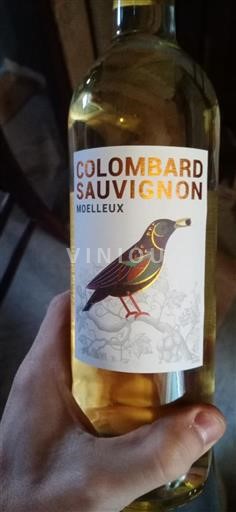 South West Côtes de Gascogne Colombard Sauvignon 2024