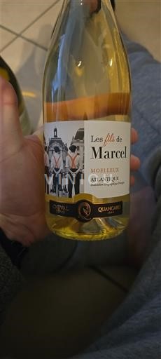 Aquitania e Charente Atlantico Quancard Les fils de Marcel 2023