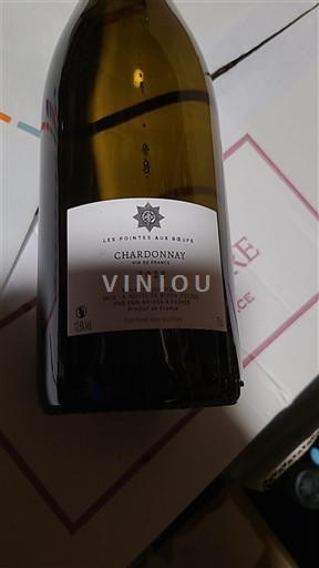 Loirevallei Les Pointes aux bœufs 2022