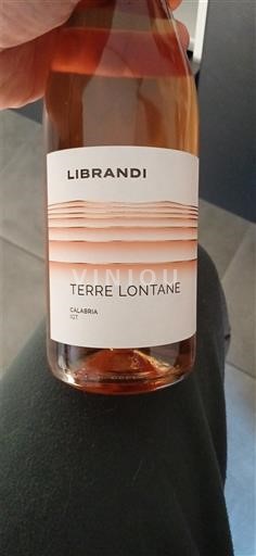 Calabria Không được chỉ định Librandi Terre Lontane 2023