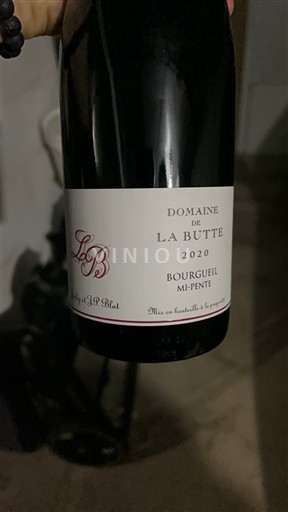 Loiredalen Bourgueil Domaine La Butte Mi-Pente 2020