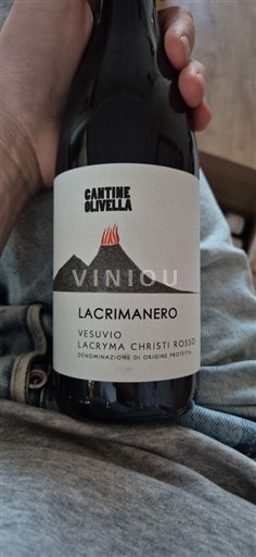 Campanie Không được chỉ định Cantine Olivella Lacrimanero 2024