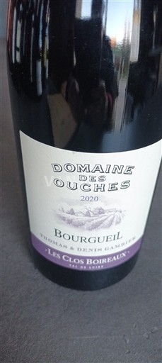 Loiredalen Bourgueil Domaine S Ouches Les Clos Boireaux 2020