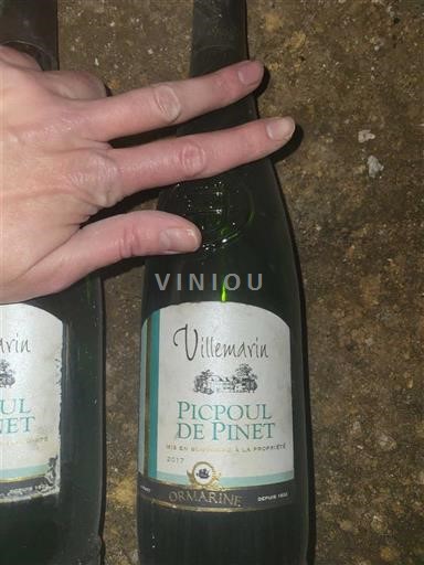 Langvedok Picpoul-de-Pinet Villemarin 2017