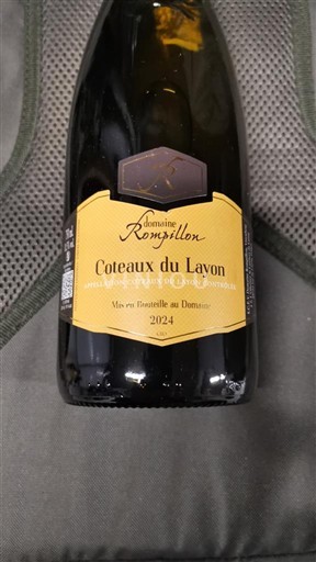 Vale do Loire Coteaux-du-layon Domaine Ronzyllon 2024