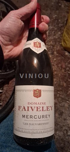 Burgundija Mercurey Domaine Faiveley Les Mauvarennes Neleten.