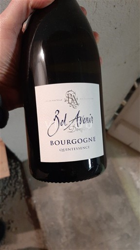 Burgundsko Bel Avenir Quintessence Neročník
