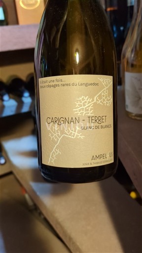 Languedoc y Rosellón País de Oc Ampelhus Carignan - Terret Blanc de Blancs 2022