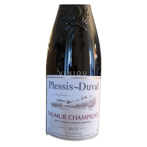 Loiren laakso Saumur-champigny Plessis Duval 2023