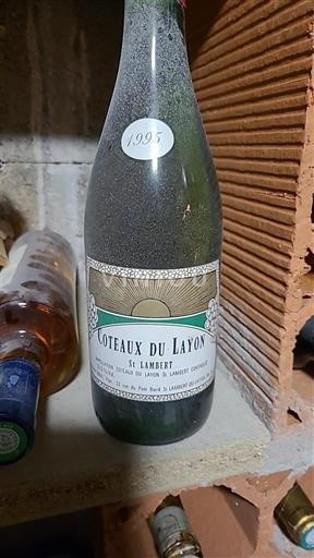 Vale do Loire Coteaux-du-layon Saint-Lambert 1995