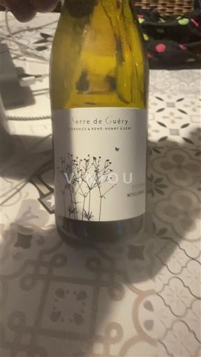 Linguadoca e Rossiglione Paese d'Oc Serre de Guéry Viogner / Intelligence 2024