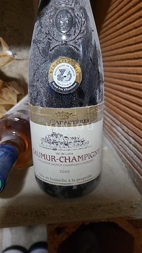 Dolina Loare Saumur-champigny Caractères 2009