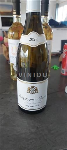 Borgonha Bourgogne-aligoté Pigneret Fils En Champ Paramoront 2023