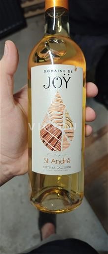 Sud-Ouest Côtes de Gascogne Domaine Joy St André 2021