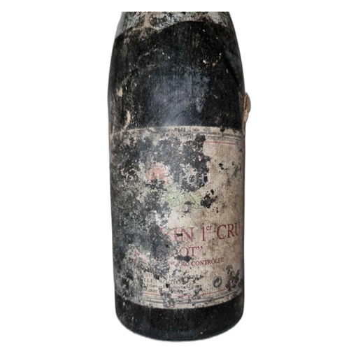 Borgogna Saint-Aubin Premier Cru Gilles Bouton En Créot 2006