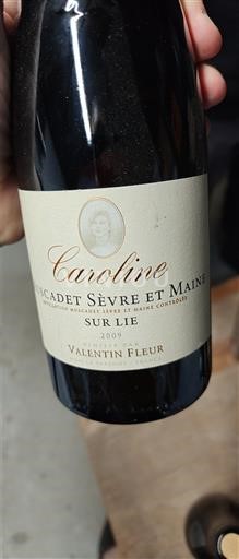 Loirevallei Muscadet-Sèvre-et-Maine Valentin Fleur Caroline 2009