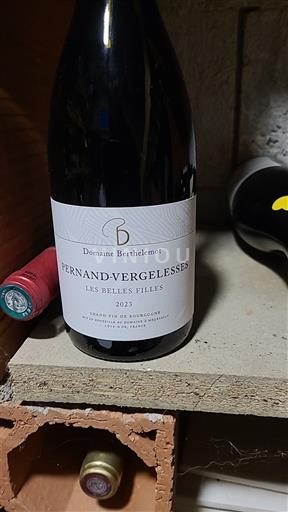 Bourgogne Pernand-Vergelesses Domaine Berthelmot Les Belles Filles 2023