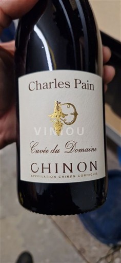 Луарська долина Шинон Domaine Charles Pain du Domaine 2019