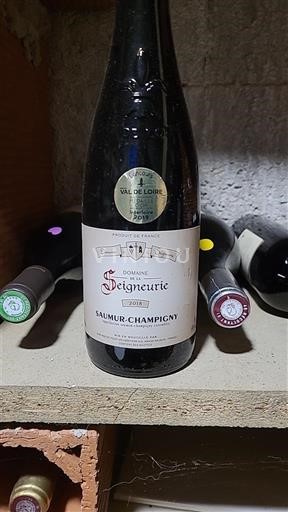 Dolina Loare Saumur-champigny Domaine Seigneurie 2018