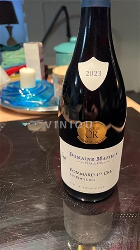 Burgundy Pommard Premier Cru Domaine Maziley Père & Fils Les Pouleures 2023