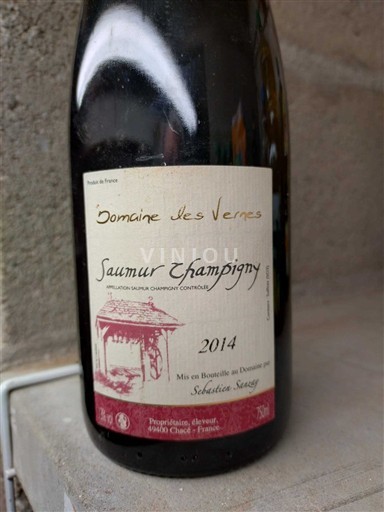 Dolina Loare Saumur-champigny Domaine Les Verpes 2014