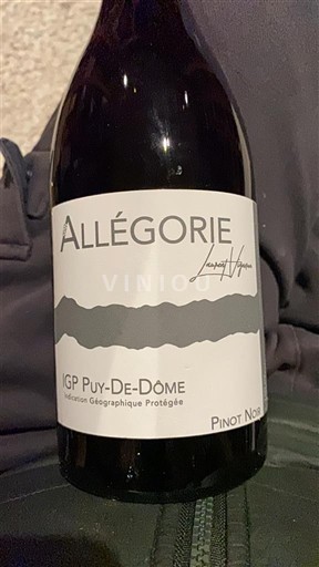 Valle della Loira Puy-de-Dôme Laurent Hérail Allégorie 2022