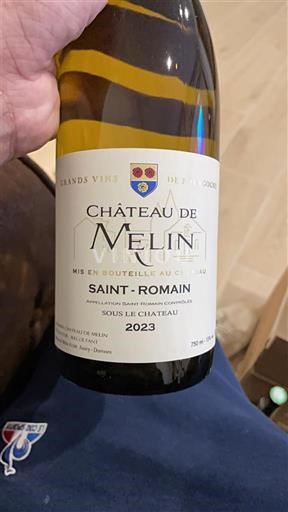 Bourgogne Saint-Romain Château Melin Sous-le-Château 2023