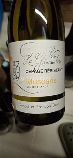 Loiredalen Ospecificerad La Grenaudière Cépage Résistant Muscaris Icke årgångsbetecknad