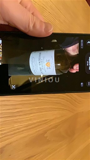 Burdeos Sainte-Foy-Burdeos Château Hostens-Picant 2019