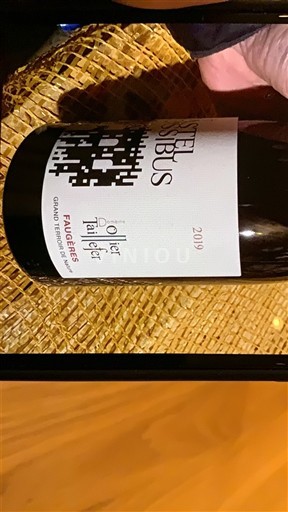 Langvedok Faugères Domaine Ollier Taillefer Castellum 2019