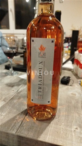 Sudoeste Côtes do Lot 101 Pierres Triadoux 2021