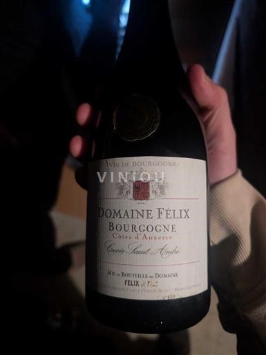 Borgogna Borgogna Côtes d'Auxerre Domaine Félix Sainte-Anne 2009