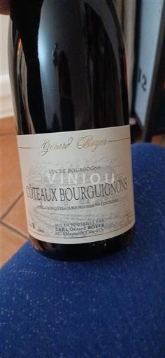 Bourgogne Bourgogne skråninger Gérard Boyer Ikke årgangsbestemt