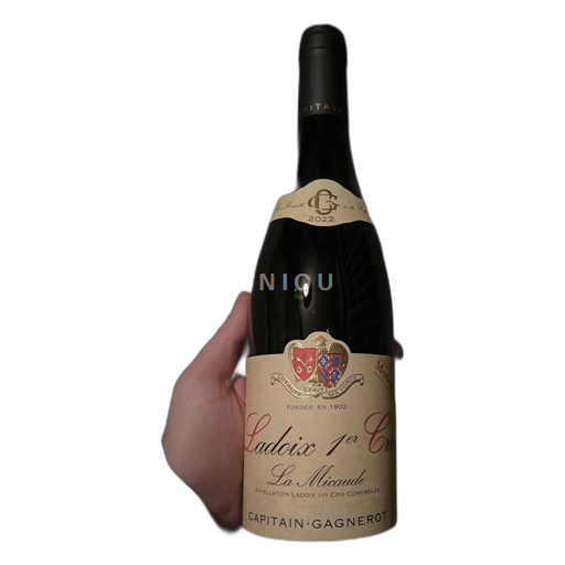 Burgundy Ladoix Capitain-Gagnerot La Micaude 2022