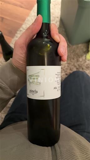 Primorska Vipava Valley Cejkotova Domacija Pinela 2020