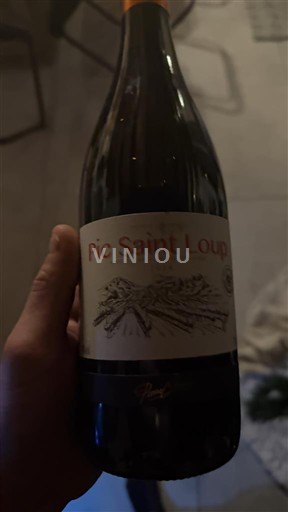 Langvedok Pic-saint-loup Château Château 2024