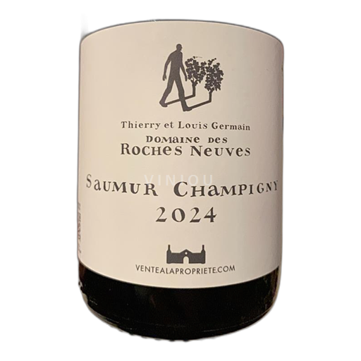 Dolina Loare Saumur-champigny Domaine S Roches Neuves VALP 2024