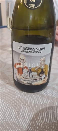 Loiren laakso Muscadet Domaine Haut Bassin Les Tontons Melon 2024