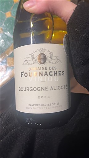 Bourgogne Bourgogne Aligoté Domaine S Fournaches 2023