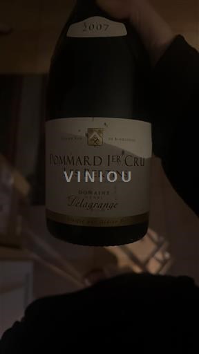 Borgoña No especificado Premier Cru Domaine J. Delagrange Les Bertins 2007