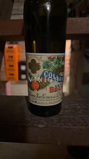 Bồ Đào Nha Colares Collares Genuino Branco Không niên vụ