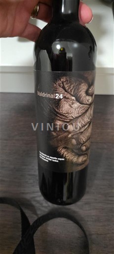 Castilien og León Ribera del Duero Valdrinal 24 Ikke årgangsbestemt