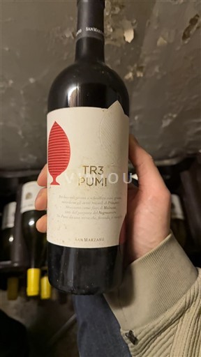 Puglia Susumaniello Salento San Marzano TR3 Pumi 2020