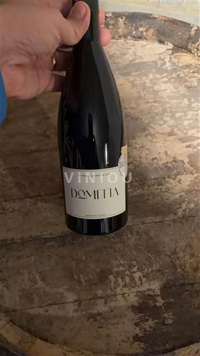 Linguadoca e Rossiglione Paese d'Oc Domaine Domitia 2024