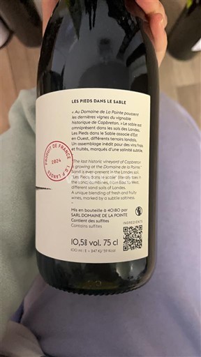 Sudoeste Não especificado Domaine La Pointe Les Pieds dans le Sable 2021