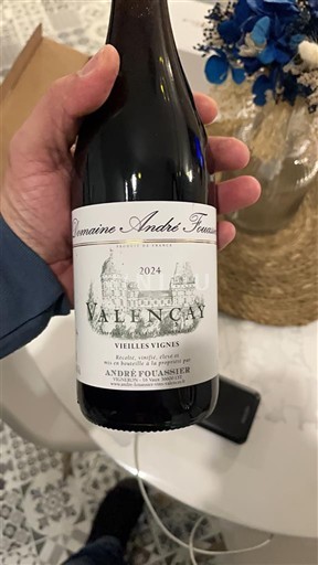 Valle della Loira Valençay Domaine André Fouassier Vieilles Vignes 2024
